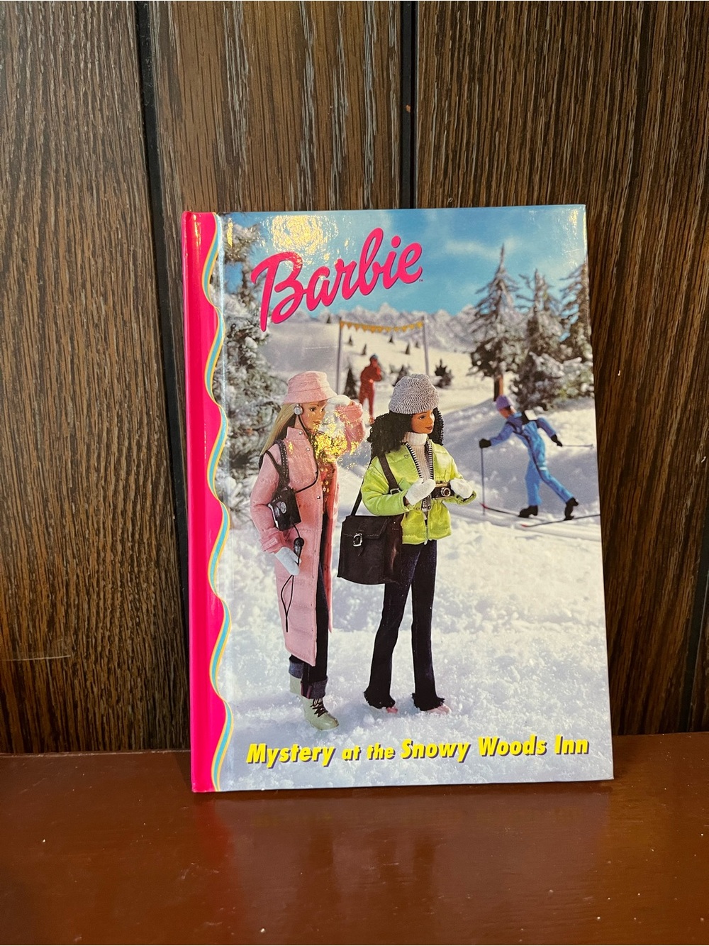 Barbie Pink & Blue Winter Mystery Book